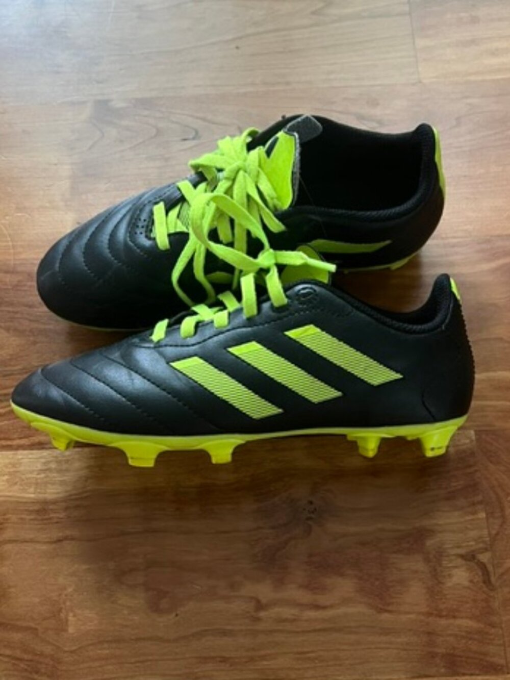 Adidas Kids' Goletto VIII FG Soccer Cleats